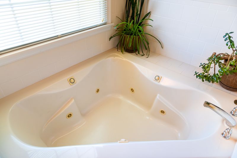 Modern Bathtub Designs